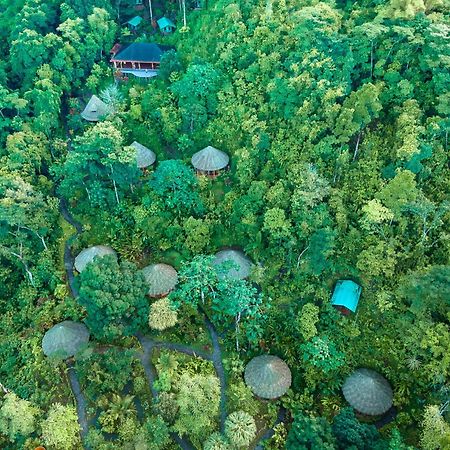 Luna Lodge Carate Eksteriør bilde