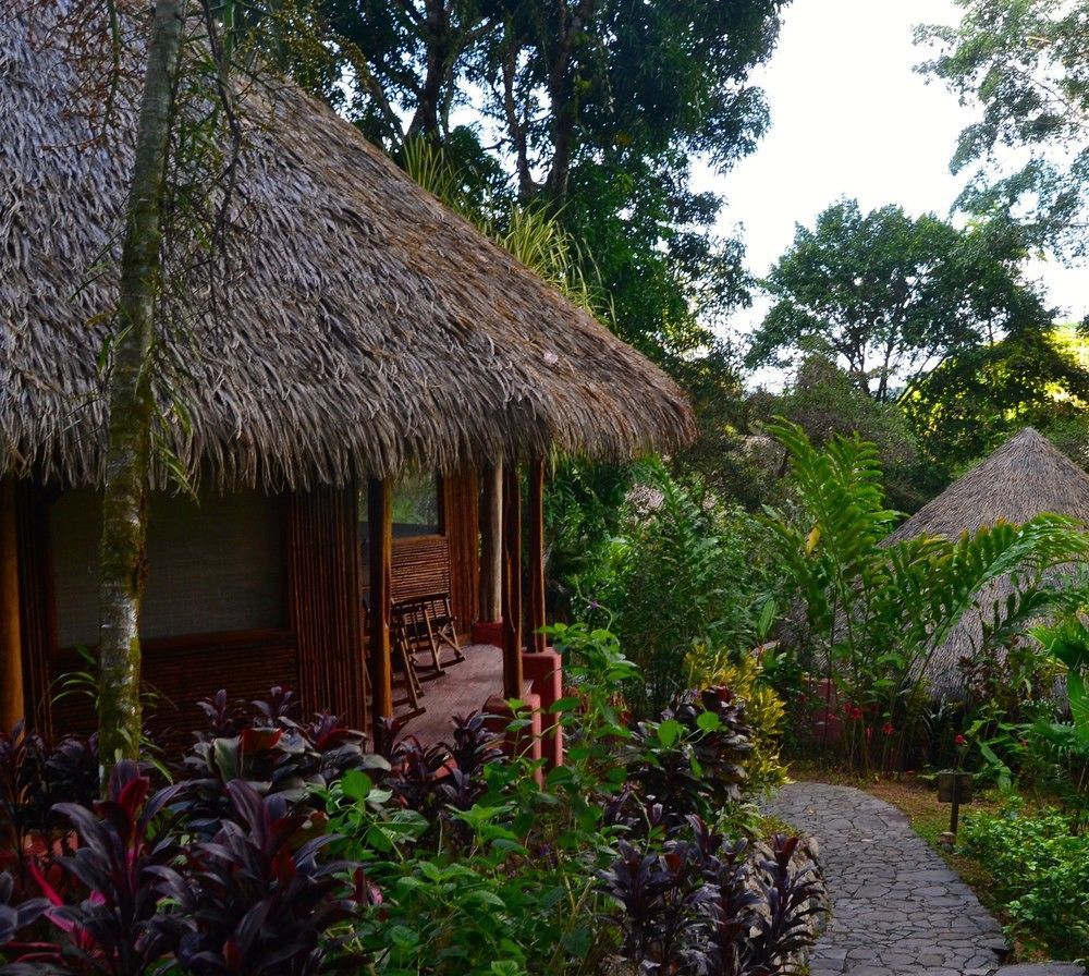 Luna Lodge Carate Eksteriør bilde