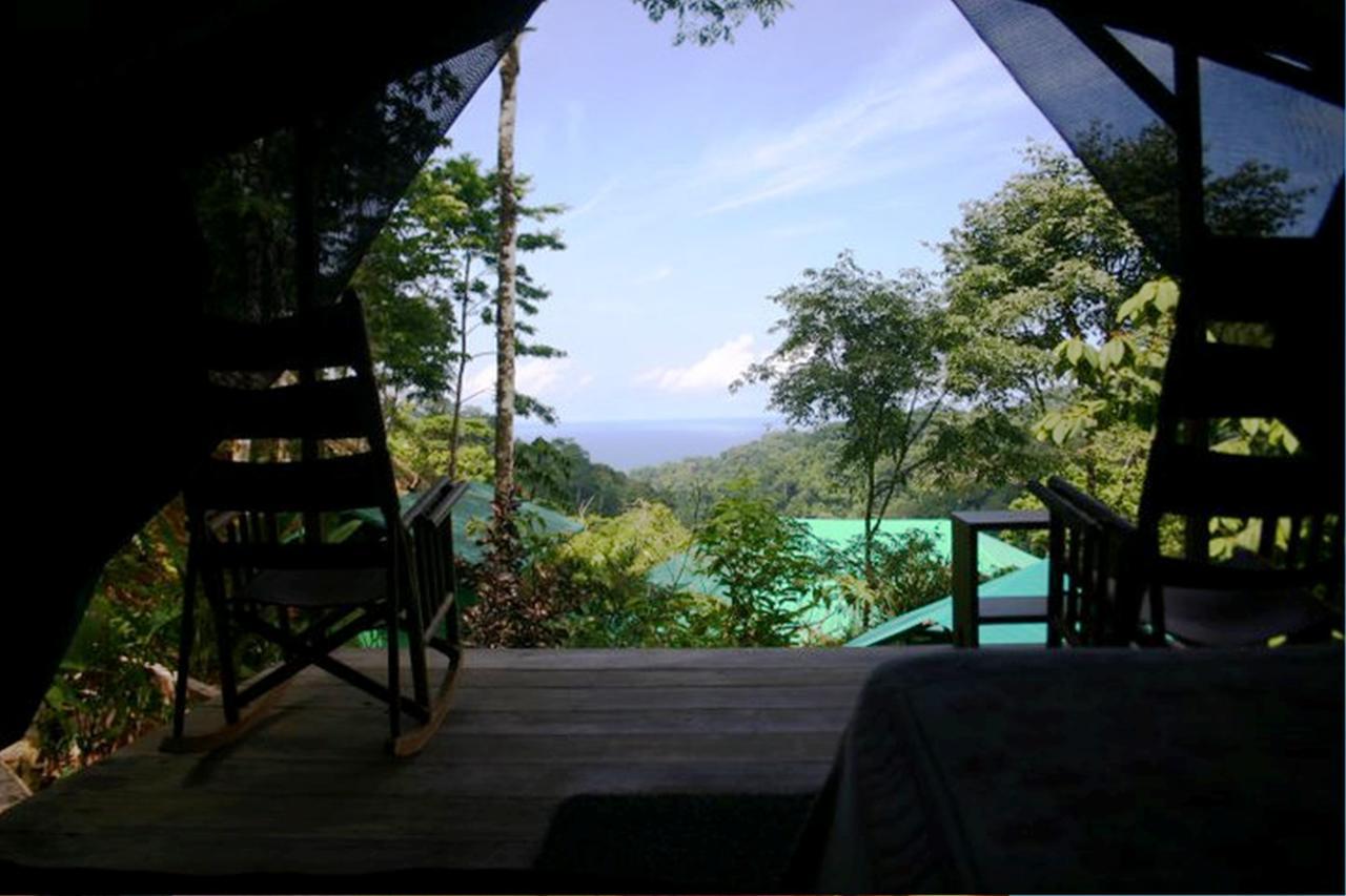 Luna Lodge Carate Rom bilde