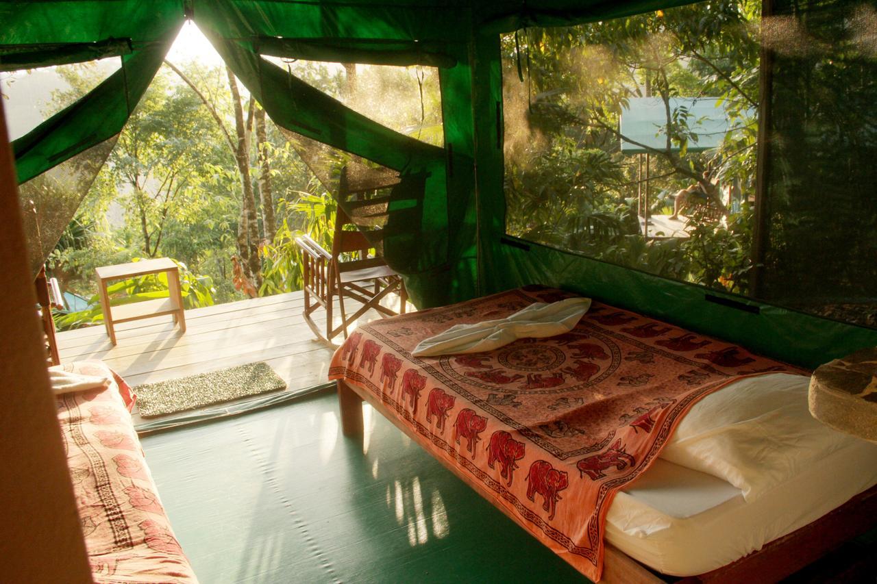 Luna Lodge Carate Rom bilde
