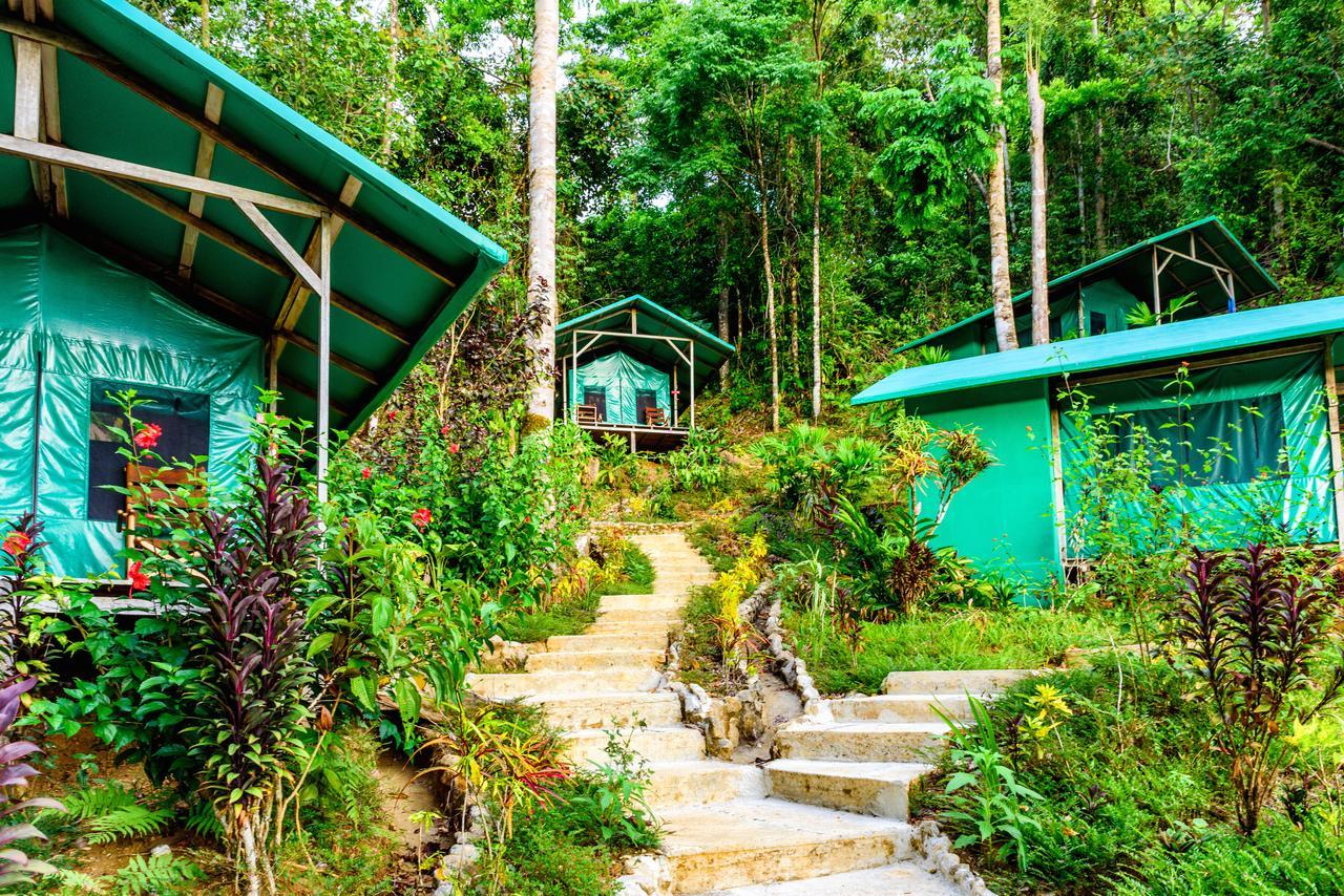 Luna Lodge Carate Rom bilde